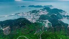301足球比分预测-301足球比分预测，科学分析与精准预测的艺术