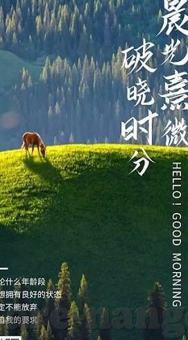 杏彩娱乐在线-杏彩娱乐在线，娱乐新体验，连接你我他